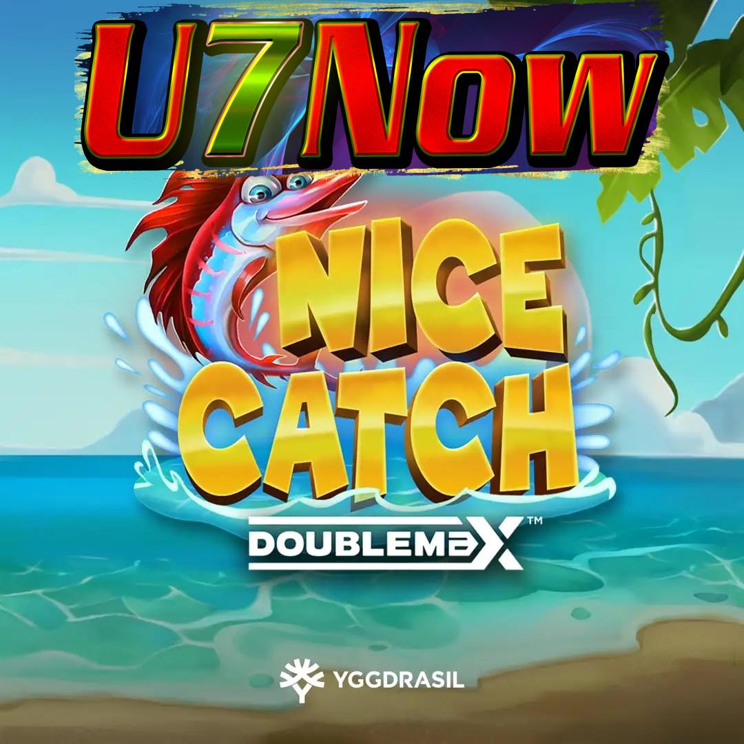 Nice Catch 2 DoubleMax